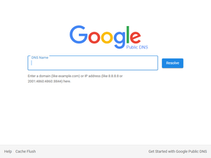 Image of dns.google