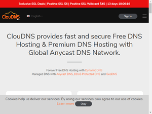 Image of cloudns.net